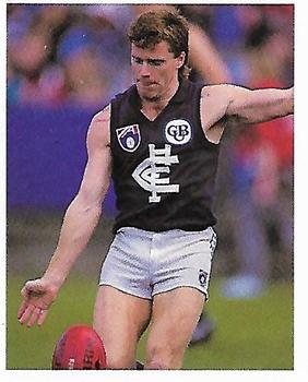 1993 Select AFL Stickers #46 Adrian Gleeson Front